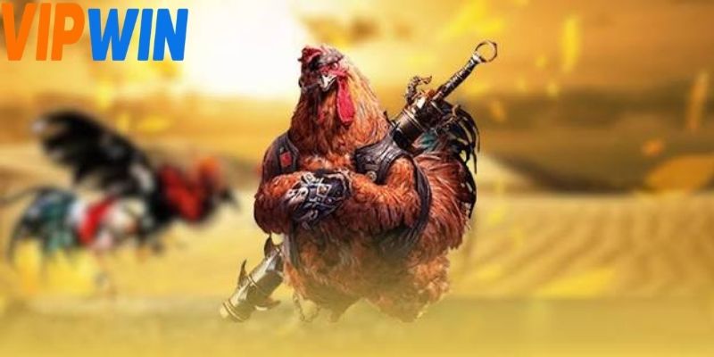 Đá gà sv388 mang đế góc nhìn ổn định và bố cục rõ ràng