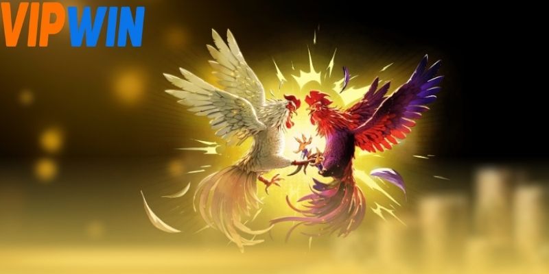 Người chơi có thể đặt cược theo từng giai đoạn