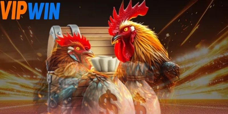 Người chơi tạo tài khoản bằng cách cung cấp thông tin cơ bản