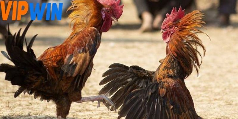 Người chơi cần nhận biết được sự thay đổi trong nhịp độ tấn công