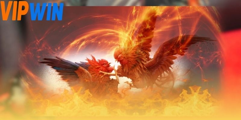 E2bet Đá Gà