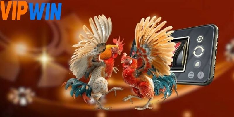 Không gian thi đấu e2bet đá gà chuyển động cực kỳ mượt mà