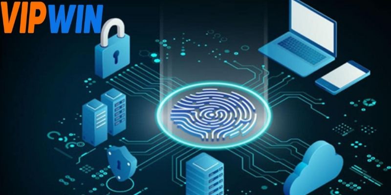 Người chơi có quyền kiểm soát thông tin mình cung cấp